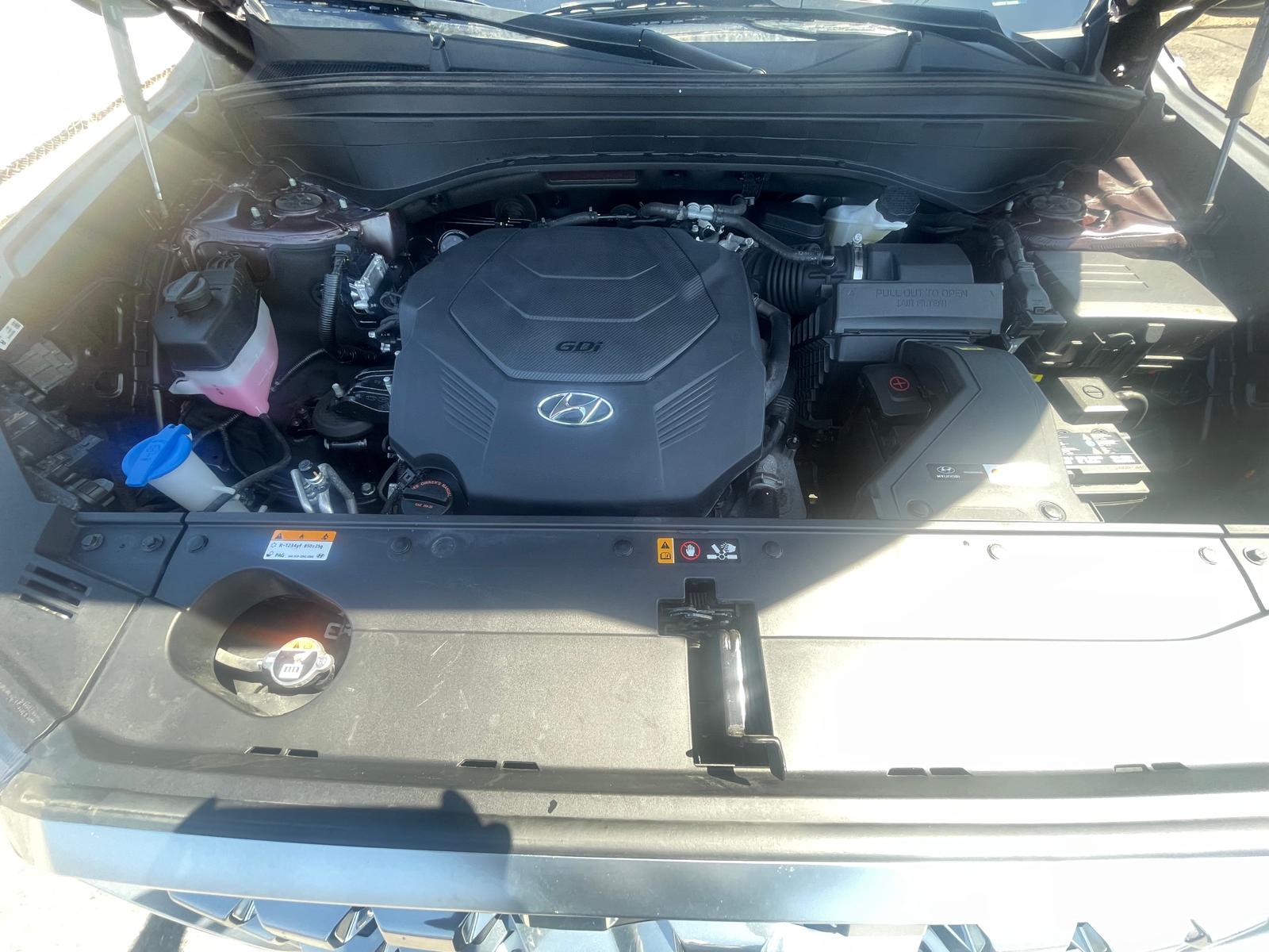 PHOTO-2026-04-24-13-10-27 14.jpg