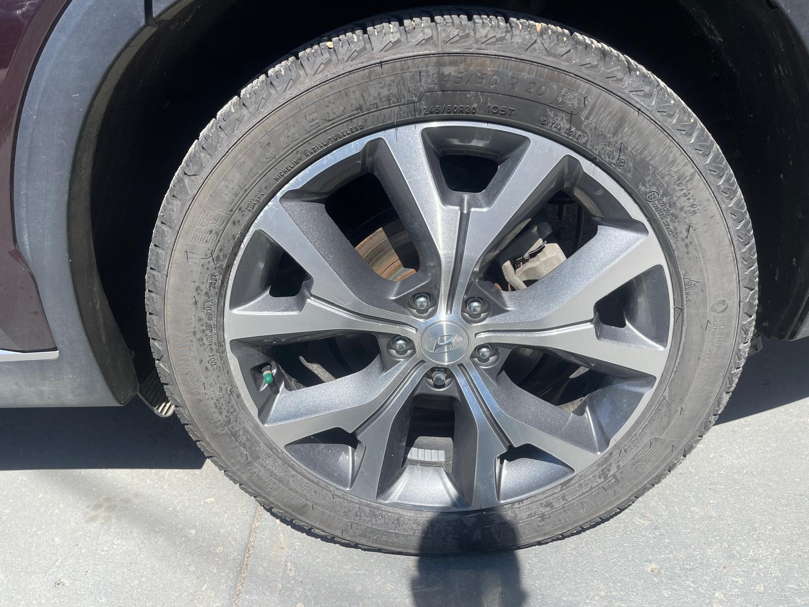 PHOTO-2026-04-24-13-10-26 7.jpg