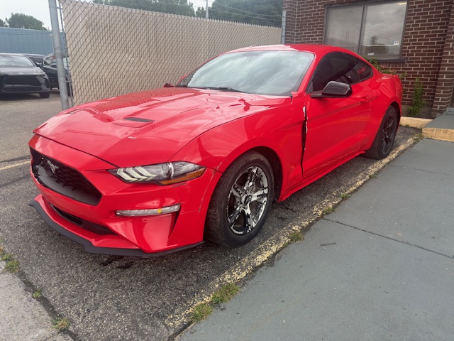 image1.jpeg